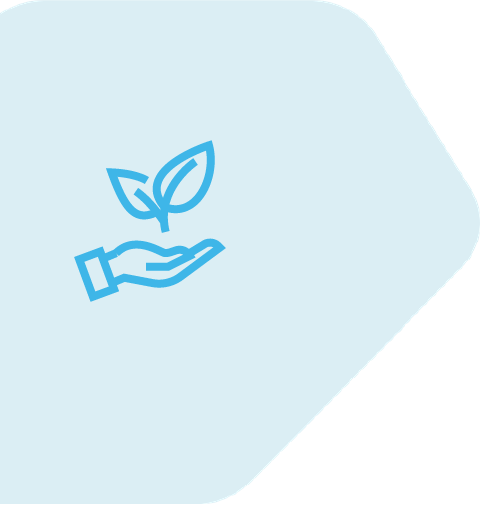 Hand holding a leaf