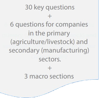 Questionnaire question preview